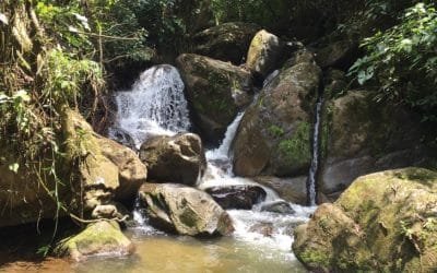 El Área y Corantioquia lideran reglamentación de fuentes de agua