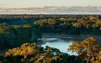 Biodiversidad, asignatura pendiente en «Constitución de los océanos»