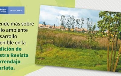 Minambiente invita a académicos a participar en la convocatoria 1-2021 para publicar sus artículos científicos en la revista El Arrendajo Escarlata