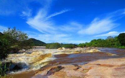 Parque El Tuparro sigue cerrado