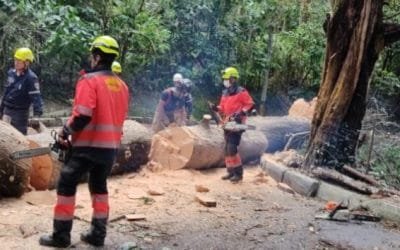 Alcaldía de Medellín atendió más de 550 emergencias en primera temporada de lluvias