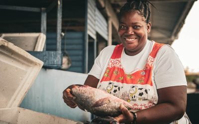 Dan vía libre a la Mesa Nacional Integral Permanente de Pesca