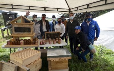 “Las abejas son trascendentales para la humanidad”, dice el ministro de Ambiente en el Día Mundial de las Abejas