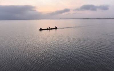 ‘Los humedales son productores y promotores de vida’: Minambiente