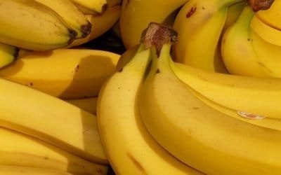 UE debe reconocer costos de producción del banano