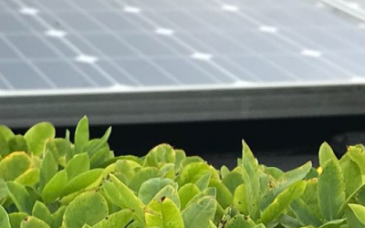 Anla participó en Feria de Energías Alternativas