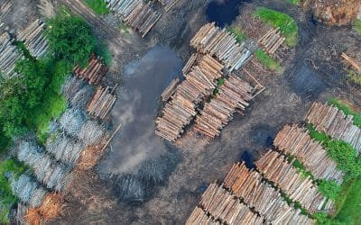 Así consume usted la naturaleza