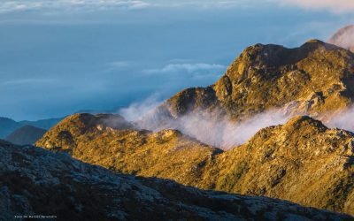 Piden información sobre presunta minería ilegal en el Parque Nacional Farallones