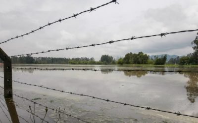 Cambio climático ha generado en Europa pérdidas de hasta 520.000 millones de euros