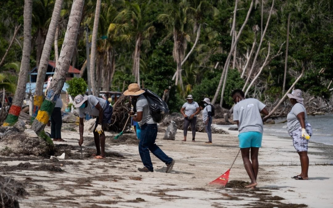 Invitan a protección de ecosistemas en Día Mundial de la Limpieza