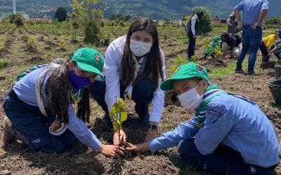 Colombia plantará mañana cinco millones de árboles en Gran Sembratón