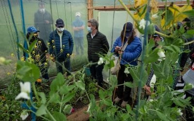 “Viveros, fábricas de vida y oxígeno que restauran los ecosistemas”: Ministro de Ambiente