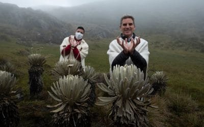 Maratón de Educación Ambiental, un éxito