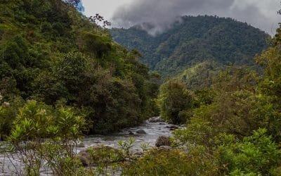 Adquieren predios para restaurar zonas degradadas