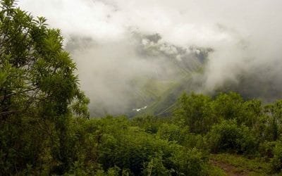 Los bosques de neblina peruanos, reconocidos como reserva Unesco