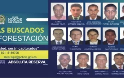 Se entregan 4 de los deforestadores más buscados del país