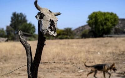 Fenómeno de La Niña terminó, pero es muy posible que venga una terrible sequía antes de 2025: ONU