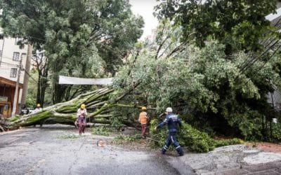 Socializan en Medellín consejos para temporada de menos lluvia