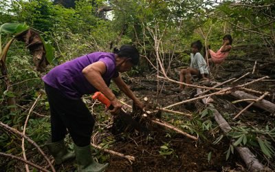 Amazonia e indígenas, conversación clave en Semana del Clima