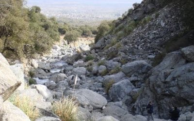 Preocupación mundial por bajo nivel de agua en ríos del mundo