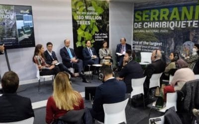 Transición energética, clave para lograr la carbono-neutralidad