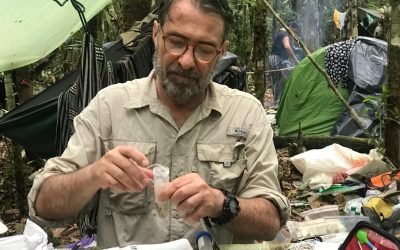 Biodiversidad cavernícola: lo que esconden las cuevas en Colombia