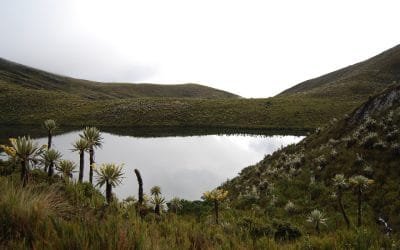 Se reabrió el acceso por la Calera y Fómeque al Parque Nacional Natural Chingaza