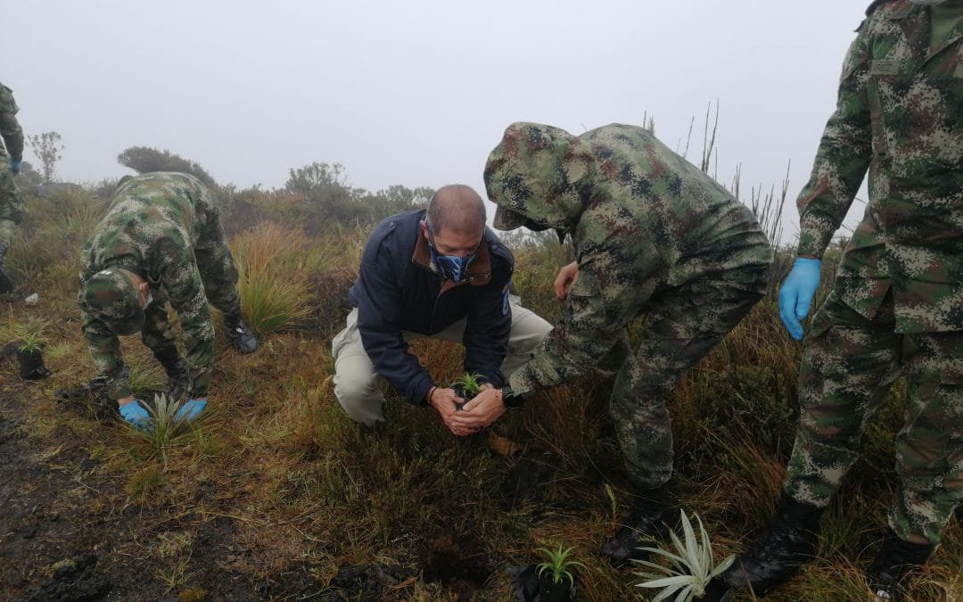 En Cundinamarca, la Burbuja Ambiental avanza en la restauración de los ecosistemas de páramo