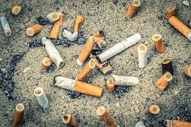 El cigarrillo no solo causa daños a la salud de las personas sino que deteriora el medio ambiente