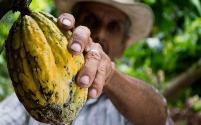 Campesinos serían sujetos de derechos de especial protección