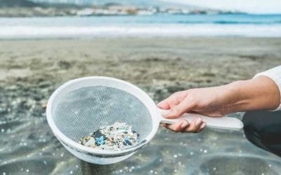 Microplásticos llegan a los océanos a través del viento