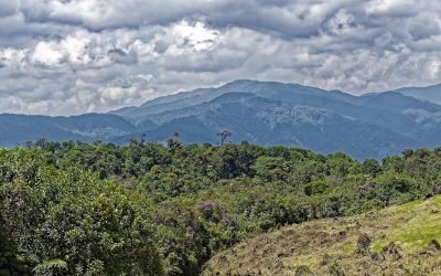 Derechos de campesinos en Parques Nacionales se deben garantizar