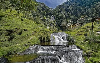 Colombia, protagonista en encuentro ambiental de la OCDE