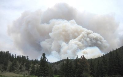 Incendios forestales en Canadá afectan calidad del aire en Norteamérica