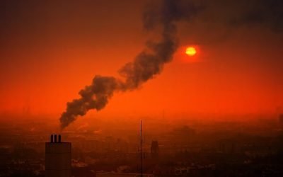 Controlar degradación ambiental evitaría hasta 13 millones de muertes