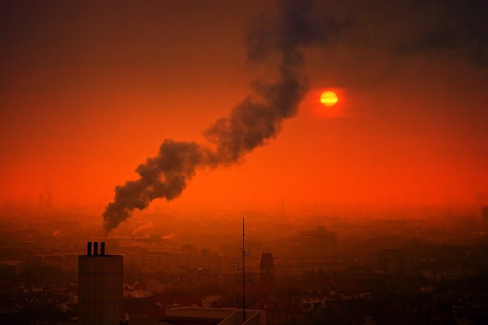 Controlar degradación ambiental evitaría hasta 13 millones de muertes