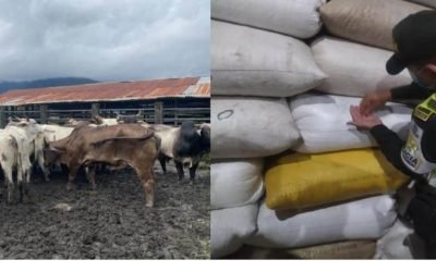 Se han incautado productos ilegales del agro por más de $4.551 millones