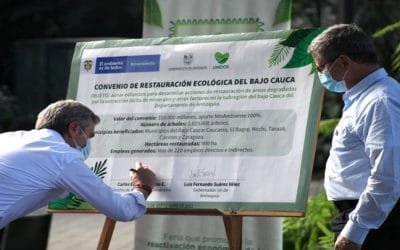 Minambiente aporta $10.000 millones para restauración ecológica en Bajo Cauca antioqueño