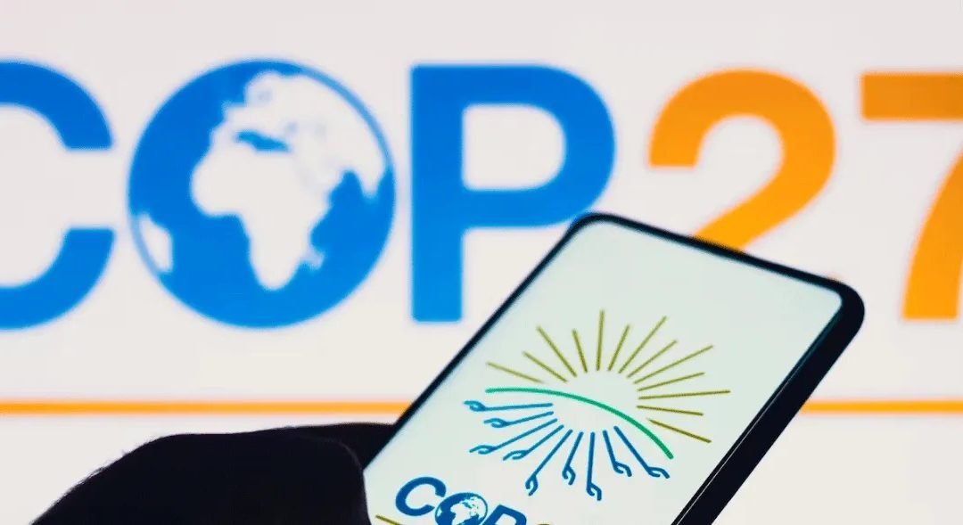 ONG dicen que confianza en las COP se romperá sin avances en daños