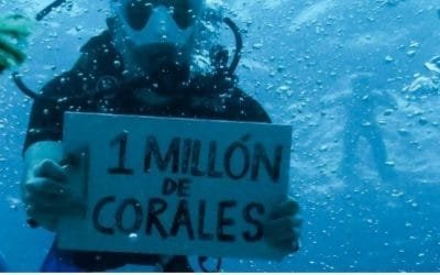 Restauran en Colombia arrecifes de coral