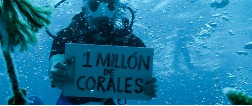 Restauran en Colombia arrecifes de coral