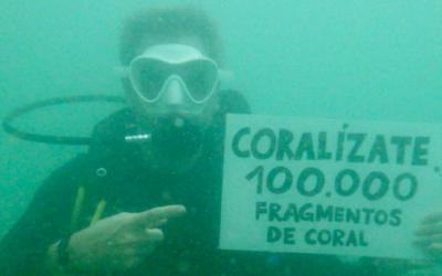 Colombia cuenta con 113.136 nuevos fragmentos de coral