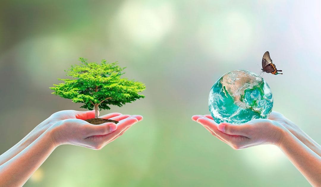 Biodiversidad y renaturalización, claves contra la desertificación