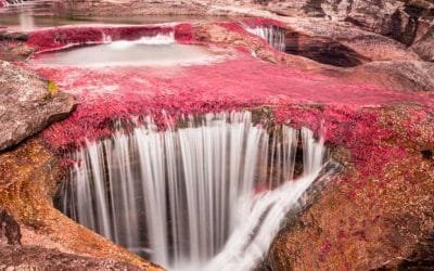 Caño Cristales reabre sus puertas al mundo