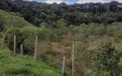 Medellín avanza en conservación de cuencas abastecedoras del acueducto