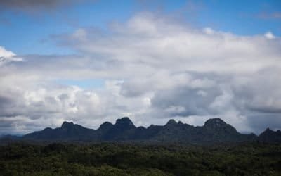 En el Día de la Tierra, Colombia destaca su liderazgo ambiental frente al mundo