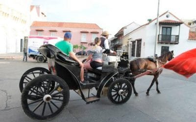 Cartagena: investigan muerte de 12 caballos