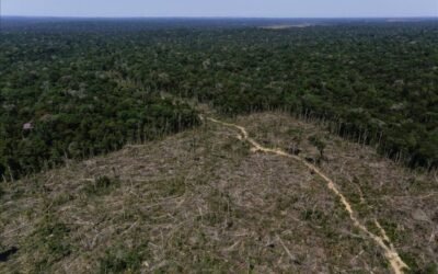 Deforestación en la Amazonía, amenaza latente
