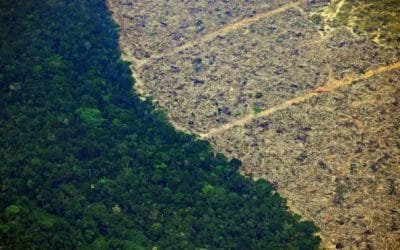 La deforestación en los trópicos aminora las precipitaciones