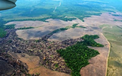 Deforestación de la Amazonía alcanza su mayor nivel